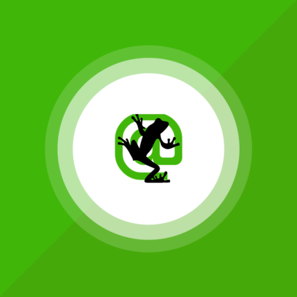 screaming-frog - Lisanso.com